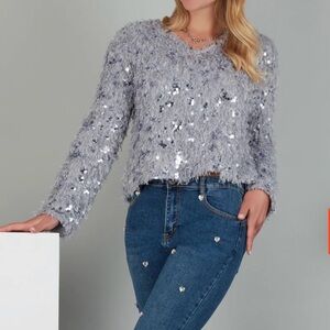 Tricotto Silver Sequin Sweater